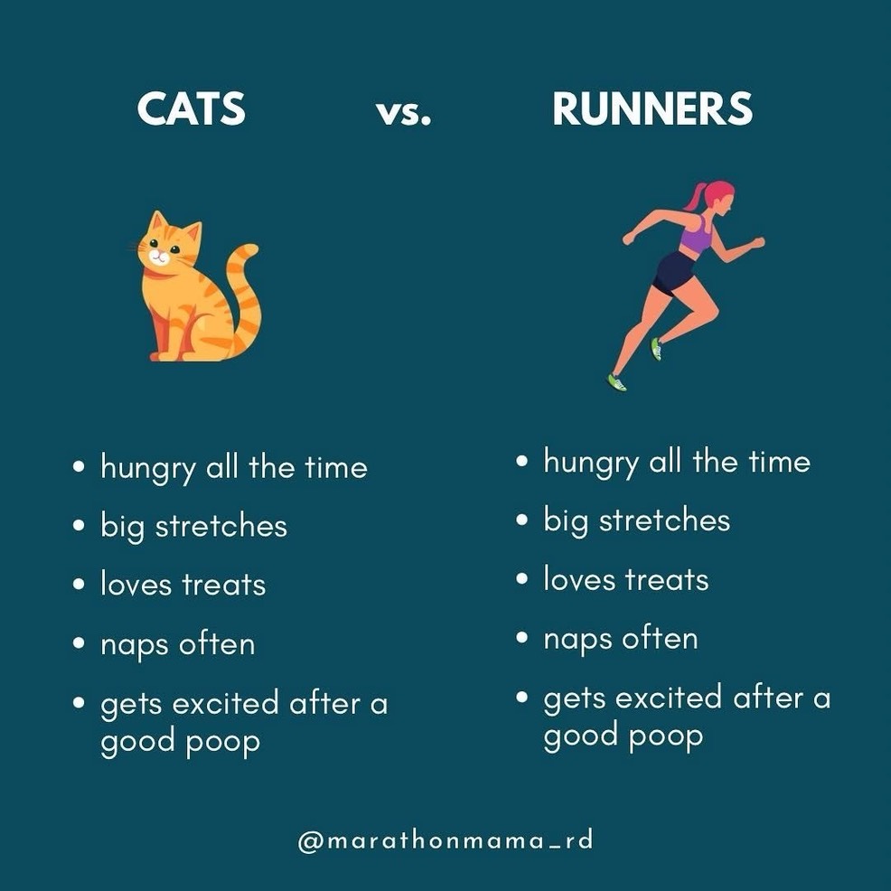 20251027 - Cats vs Runners